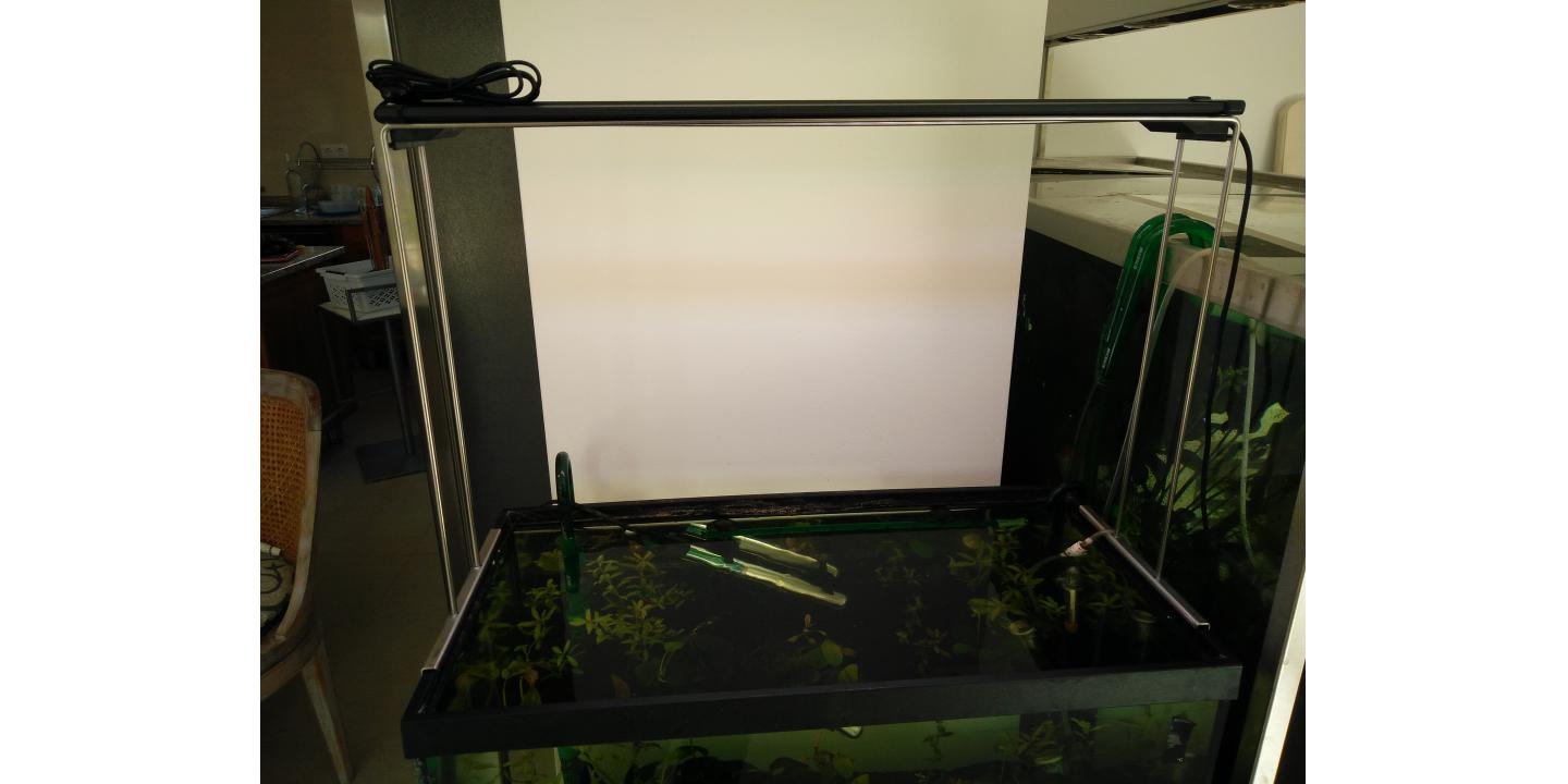 Steel Rod Light rail for Aquarium